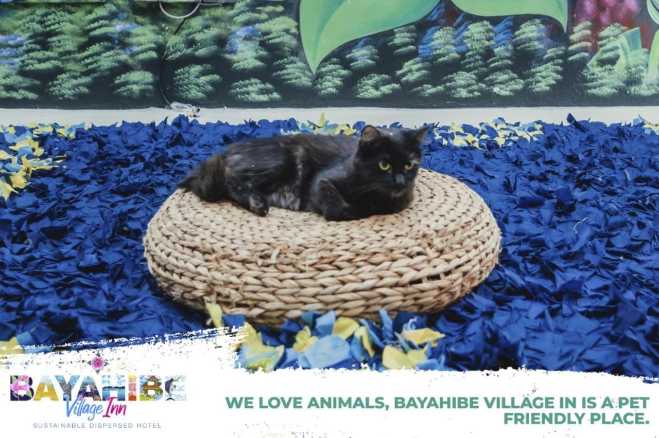 Bayahibe Village Inn Екстериор снимка